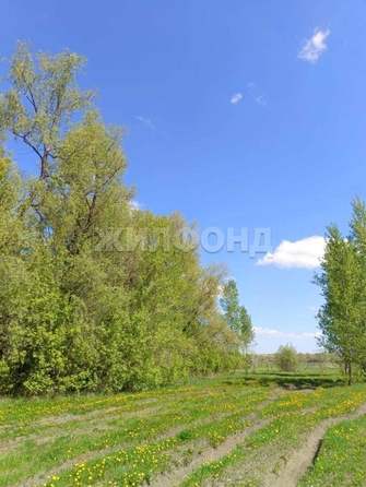 
  Продается земельный участок 0 соток. Фото 4.