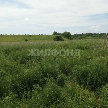 
  Продается земельный участок 0 соток. Фото 10.