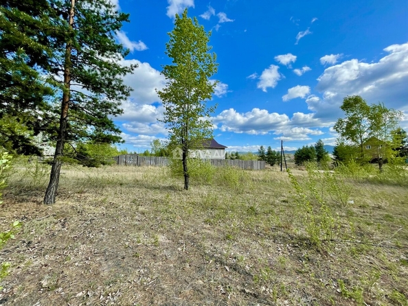 
  Продается земельный участок, 8 соток, территория ДНТ Клен
. Фото 2.