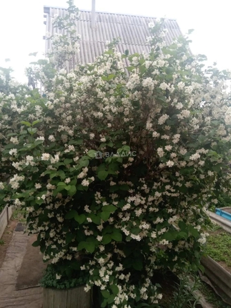 
  Продам коттедж 80 м². Фото 26.