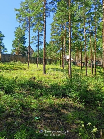 
  Продается земельный участок 8 соток. Фото 6.