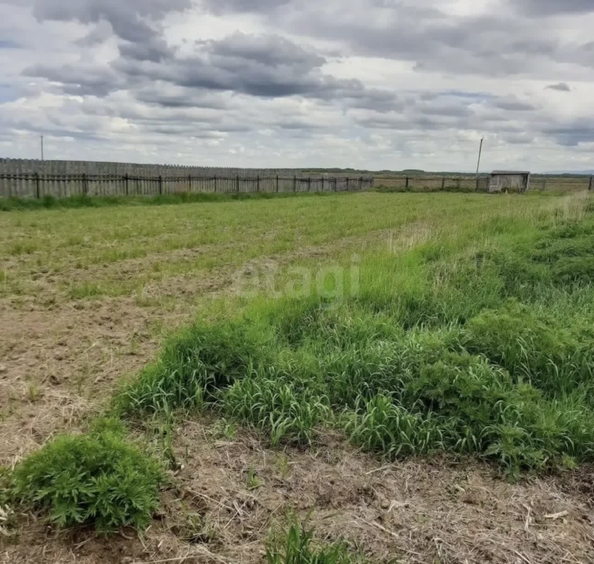 
  Продается земельный участок 21.5 сотка. Фото 3.