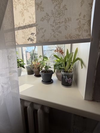 
  Продается студия 17.5 м². Фото 12.