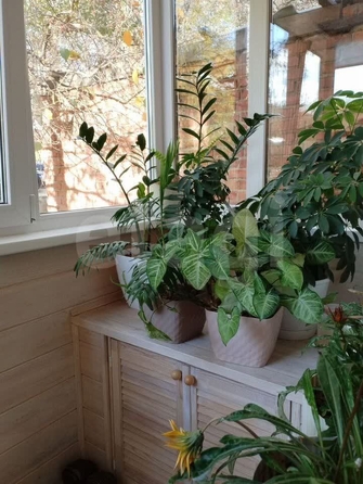 
  Продается 4-комн. квартира 72.8 м². Фото 13.