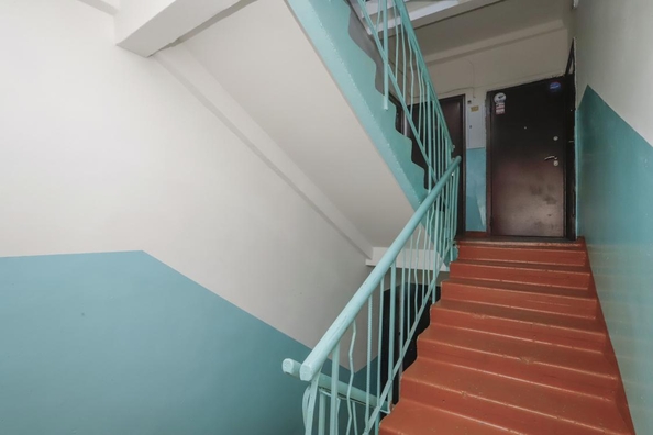 
  Продается 3-комн. квартира, 54 м², Просвещения ул, д. 36
. Фото 25.