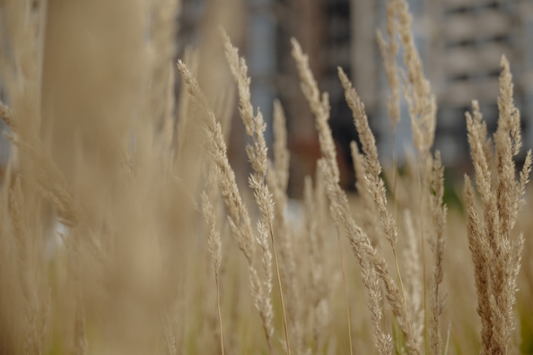 
  Продается 1-комн. квартира, 46.08 м², ЖК Сибиряков, блок-секция 8
. Фото 12.