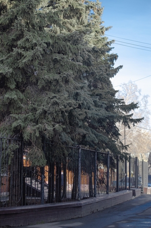 
  Продается универсальное помещение, 1509 м², Дзержинского ул, д. 29А
. Фото 42.