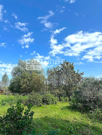 
  Продается дача, 41.6 м², деревня Креково
. Фото 5.