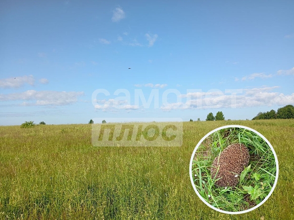 
  Продается земельный участок, 10 соток, Кемерово
. Фото 1.