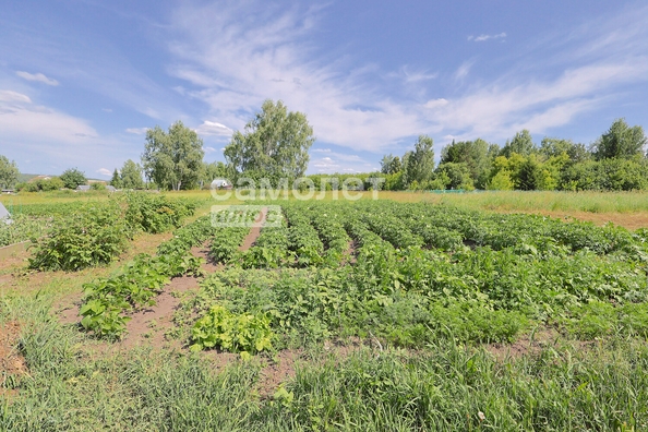 
  Продается коттедж, 181 м², село Верхотомское
. Фото 32.