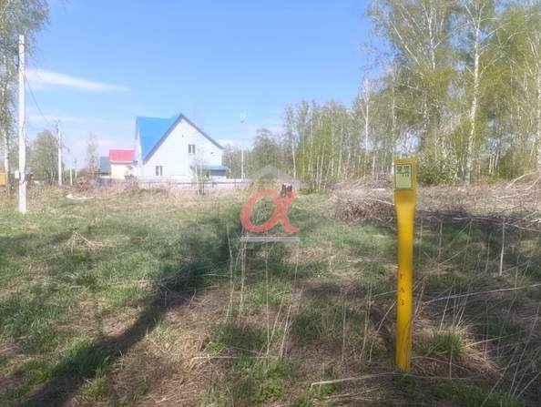 
  Продается земельный участок, 15 соток, село Ягуново
. Фото 1.