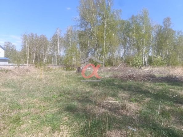 
  Продается земельный участок, 15 соток, село Ягуново
. Фото 4.