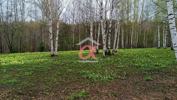 
  Продается 3-комн. квартира 61.5 м². Фото 46.