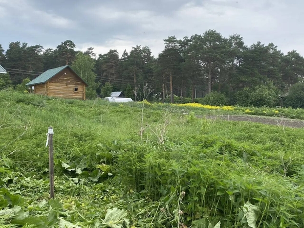 
  Продается земельный участок 12 соток. Фото 6.