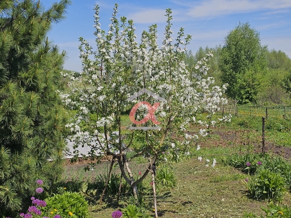 
  Продается дом 17.2 м². Фото 14.