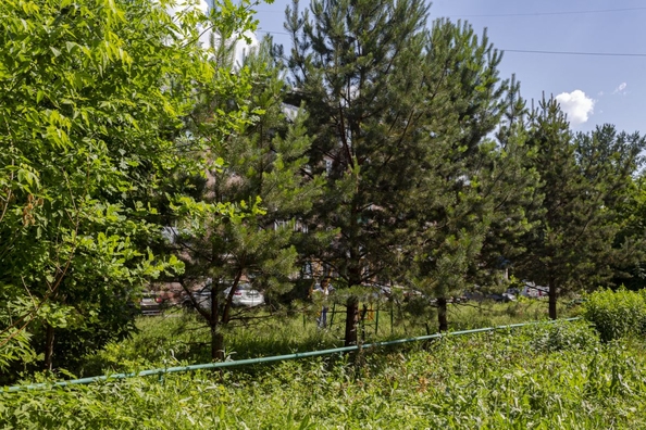 
  Продается 2-комн. квартира 46.8 м². Фото 19.