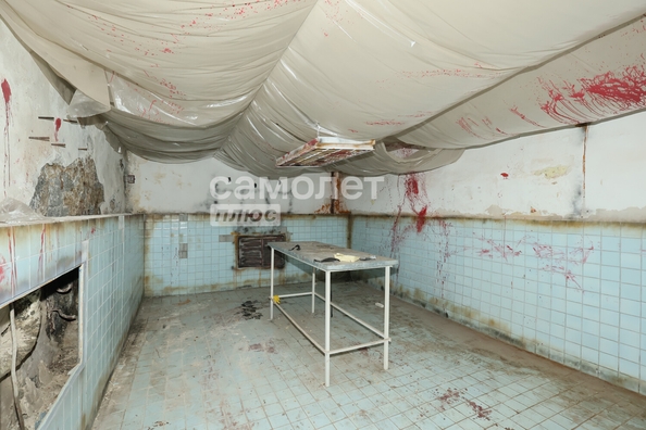 
  Продается универсальное помещение 210 м². Фото 34.