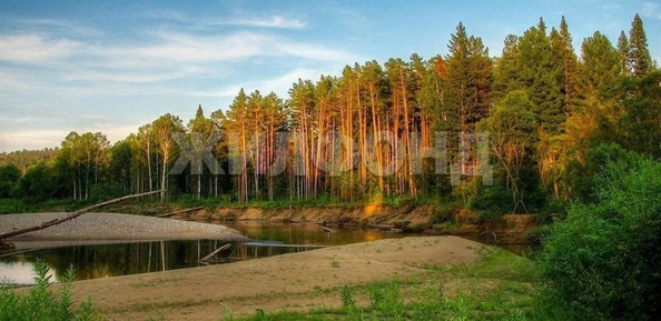 
  Продается земельный участок, 10 соток, село Сосновка
. Фото 3.