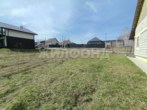 
  Продам  дачный участок, 8 соток, Каменка село

. Фото 4.