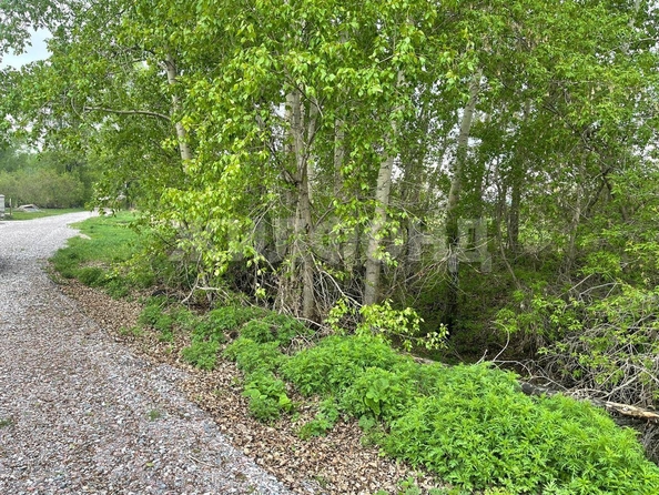 
  Продается дом, 33.5 м², село Верх-Ирмень
. Фото 5.