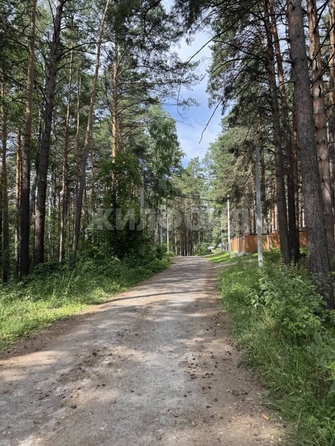 
  Продается земельный участок, 10 соток, Новосибирск
. Фото 11.