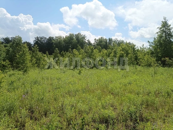 
  Продам  дачный участок, 11.5 соток, Индия КП

. Фото 2.