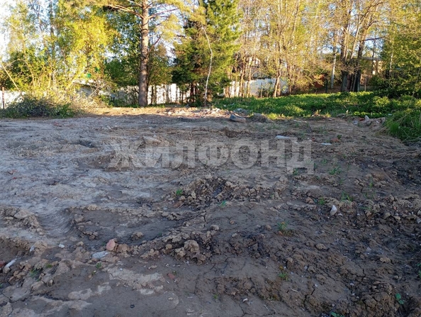 
  Продается земельный участок, 11.52 соток, СНТ Золотая горка (Дзержинский)
. Фото 4.