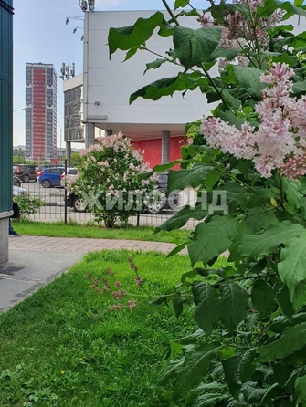 
  Продается 3-комн. квартира, 74.7 м², Ипподромская ул, д. 44
. Фото 32.