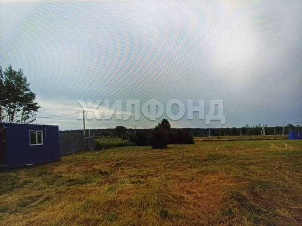 
  Продам  дачный участок, 25 соток, Кубовая село

. Фото 2.