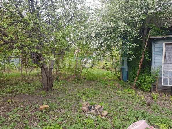 
  Продам  дачный участок, 18 соток, Ордынское пос

. Фото 5.