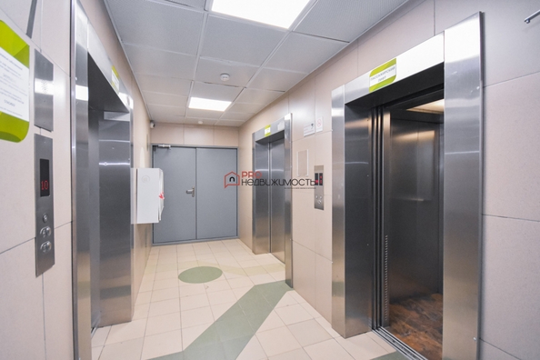 
  Сдам в аренду 1-комнатную квартиру, 41.7 м², Новосибирск

. Фото 13.