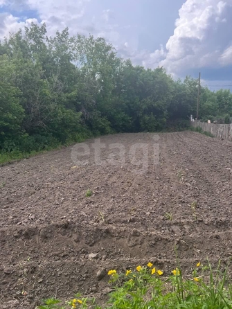 
  Продается дом, 33.1 м², рабочий поселок Сузун
. Фото 14.
