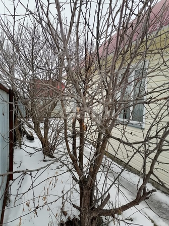 
  Продается дача, 95 м², садовое товарищество Приобье
. Фото 28.