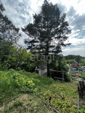
  Продается дача, 15 м², СНТ Культура
. Фото 7.