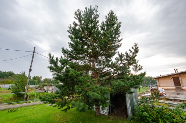 
  Продается дом, 185 м², ДНТ Рябинка
. Фото 21.