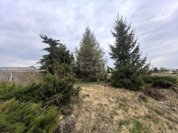 
  Продается дом, 32.6 м², деревня Шмаково
. Фото 8.