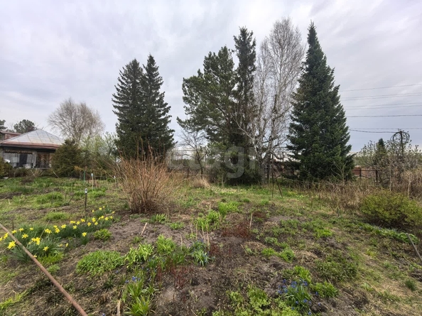 
  Продается дом, 32.6 м², деревня Шмаково
. Фото 12.