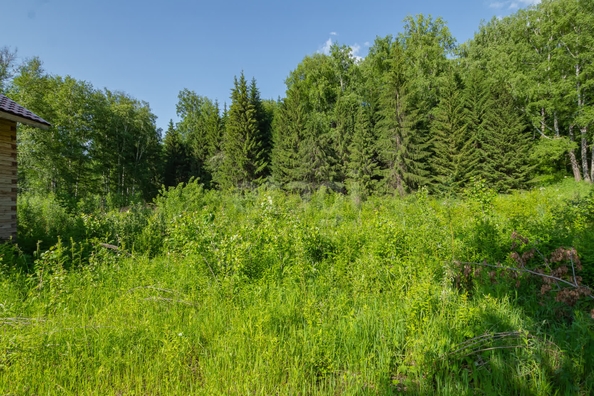 
  Продается дом, 96 м², СНТ Генетик (Барышевский сельсовет)
. Фото 10.
