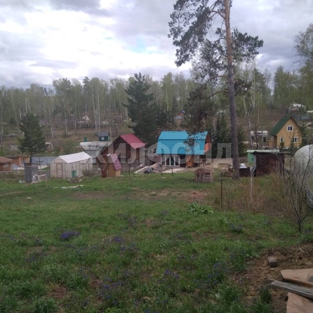 
  Продается земельный участок, 9.99 соток, СНТ Вера (Барышевский сельсовет)
. Фото 1.