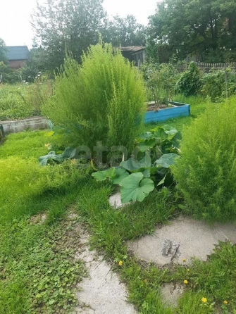 
  Продается дача, 15 м², СНТ Береговое (Первомайский р-н)
. Фото 9.