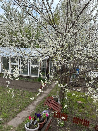 
  Продается дача, 80 м², дачный поселок Кудряшовский
. Фото 1.