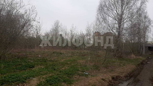 
  Продается земельный участок, 648 соток, садовое товарищество Комета-Берёзка
. Фото 4.