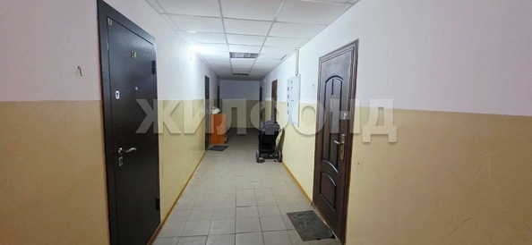 
  Продается студия, 24 м², Геодезическая ул, д. 68/1
. Фото 15.