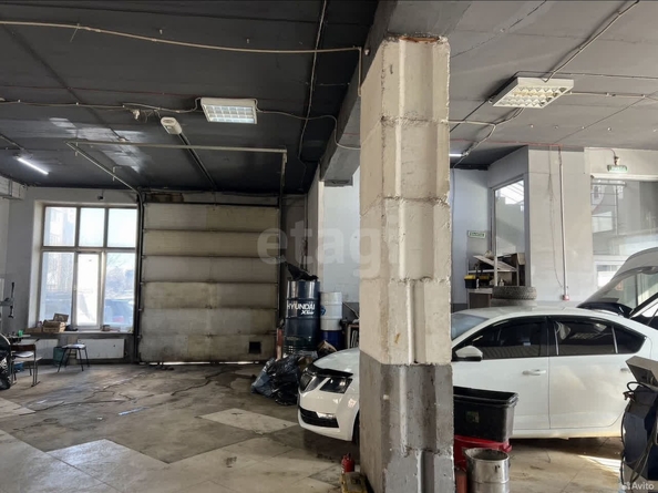 
  Сдается универсальное помещение, 240 м², Бориса Богаткова ул, д. 253/2
. Фото 8.