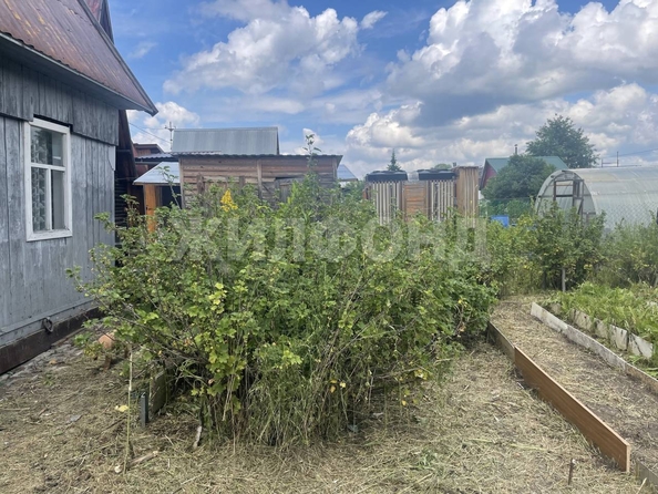 
  Продается дача, 55 м², Новосибирск
. Фото 4.