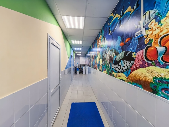
  Сдается универсальное помещение, 211 м², Ключ-Камышенское Плато ул, д. 13
. Фото 6.