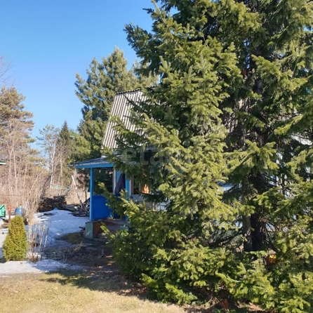 
  Продается дача, 32 м², СНТ Электрон (Кубовинский сельсовет)
. Фото 2.
