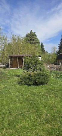 
  Продается дача, 32 м², СНТ Электрон (Кубовинский сельсовет)
. Фото 10.