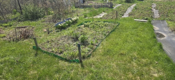 
  Продается дача, 32 м², СНТ Электрон (Кубовинский сельсовет)
. Фото 14.