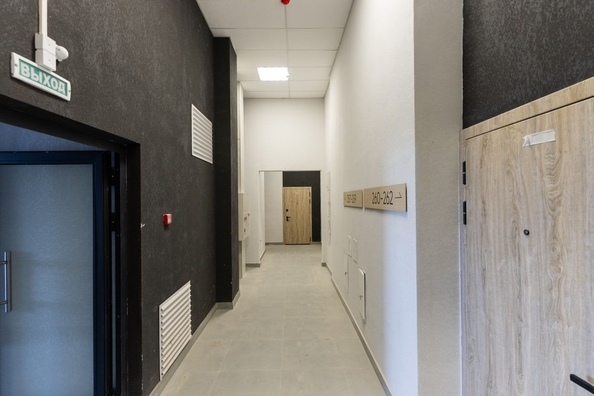 
  Продается студия, 19.7 м², ЖК Ежевика
. Фото 12.